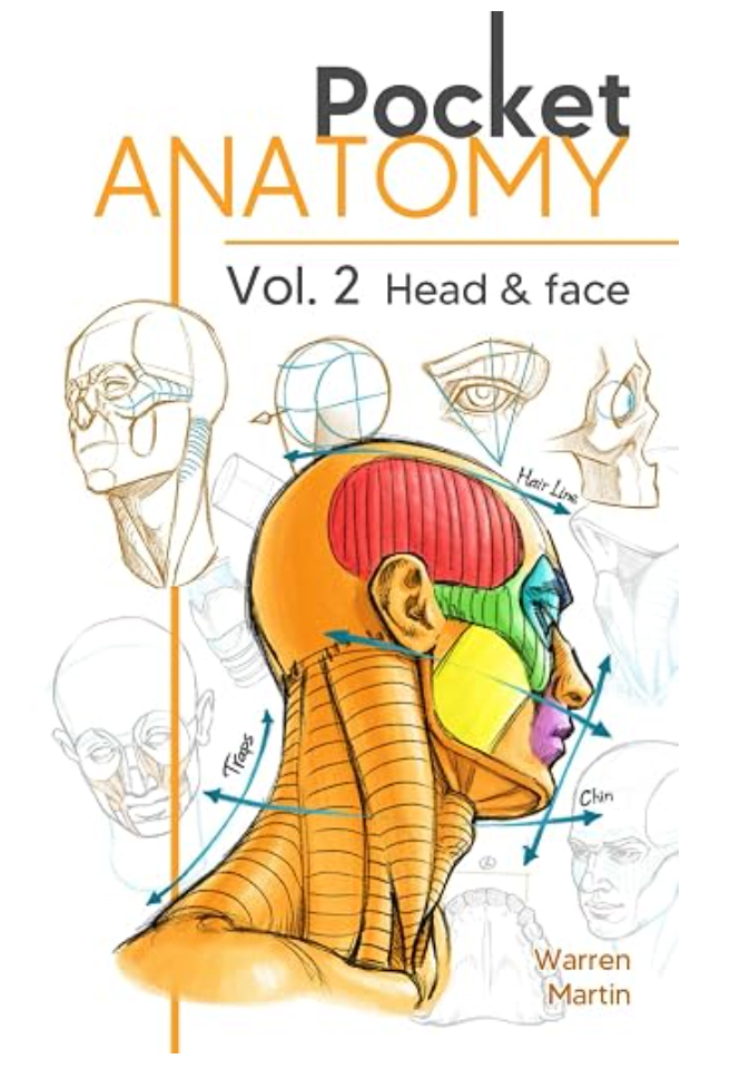 Pocket Anatomy Vol. 2: Head and Face